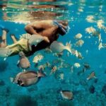 Experience Dolphin watching and snorkeling in Muscat - Authentic Insights from Reviewers