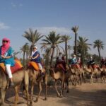 Experience Private Camel Ride - A Closer Look at the Marrakech Camel Ride Experience