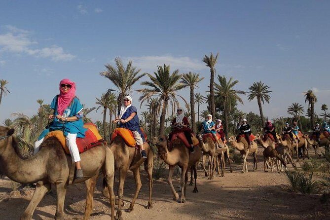 Experience Private Camel Ride - A Closer Look at the Marrakech Camel Ride Experience