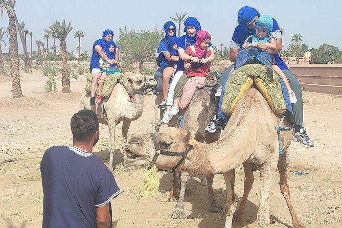 Experience the desert nomads in Marrakech! - The Sunset and Optional Dinner: A Night Under the Stars