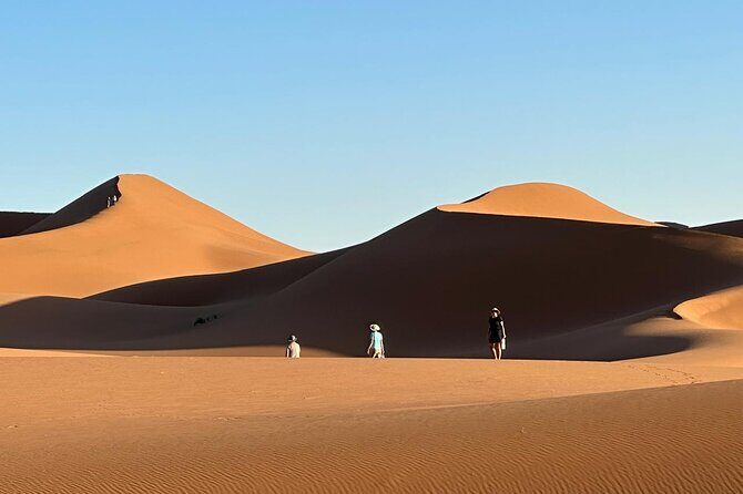 Experience the real Sahara desert with local expert in 2 days - What Makes This Tour Stand Out?