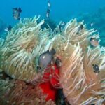 Exploration dives for experienced divers - The Experience: What You Can Expect from the Tour