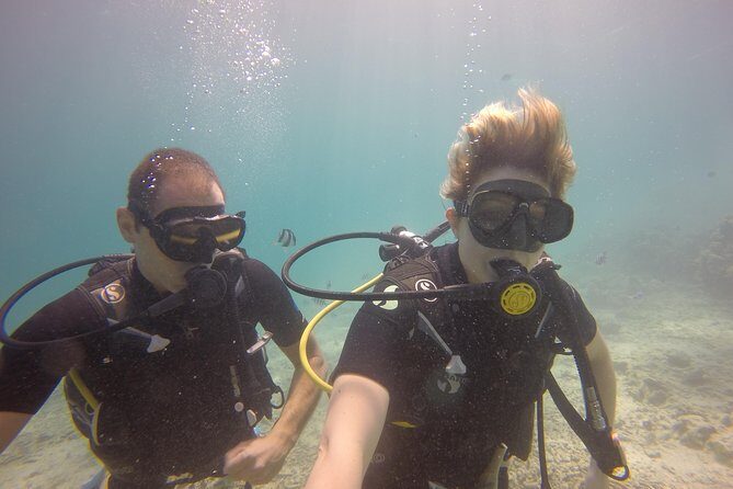 Exploration dives - The Sum Up