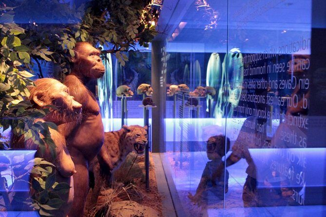 Exploration of the Cradle of Humankind: Sterkfontein Caves and Maropeng - FAQs