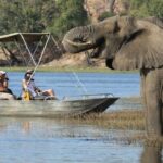 Explore Chobe National Park With a Day Trip from Victoria Falls - Who Is This Tour Best Suited For?