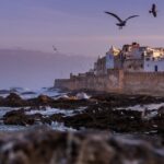 Explore Essaouira on a Day Trip from Marrakech - Why This Tour Works