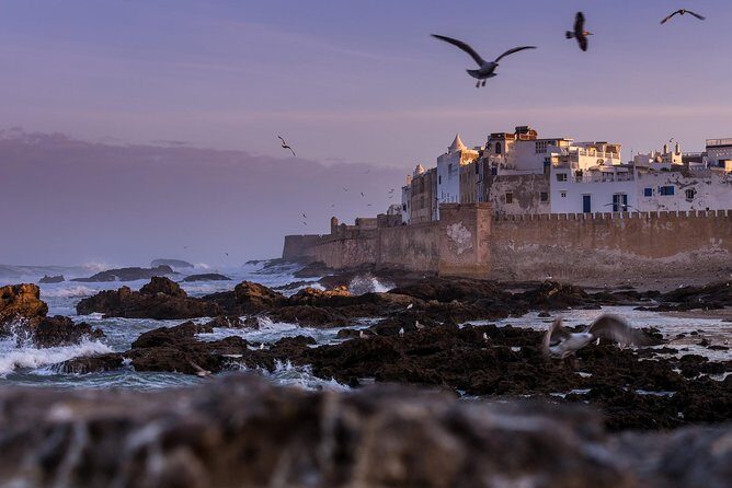 Explore Essaouira on a Day Trip from Marrakech - Why This Tour Works