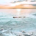 Explore Jordan In 7 Days only transportation - Transportation and Overall Experience