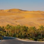Explore Liwa Full Day Desert Safari - What Makes This Tour Stand Out