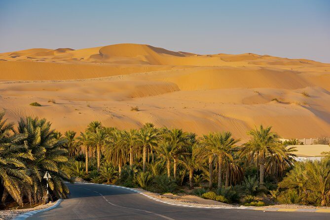 Explore Liwa Full Day Desert Safari - What Makes This Tour Stand Out