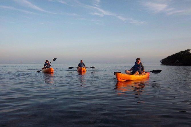 Explore Mangrove Creeks with an All Day SUP/single kayak Rental - The Experience: From Booking to Return