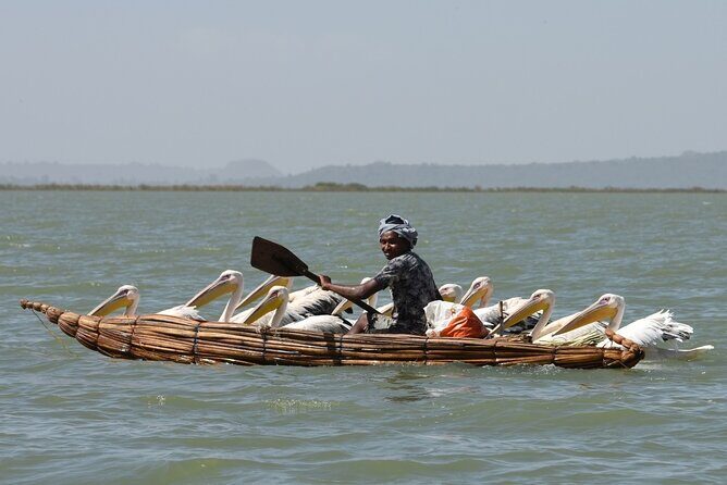 Explore Northern Ethiopia in 6 days 5 nights by flight - Practical Information on Transportation, Timing, and Group Size