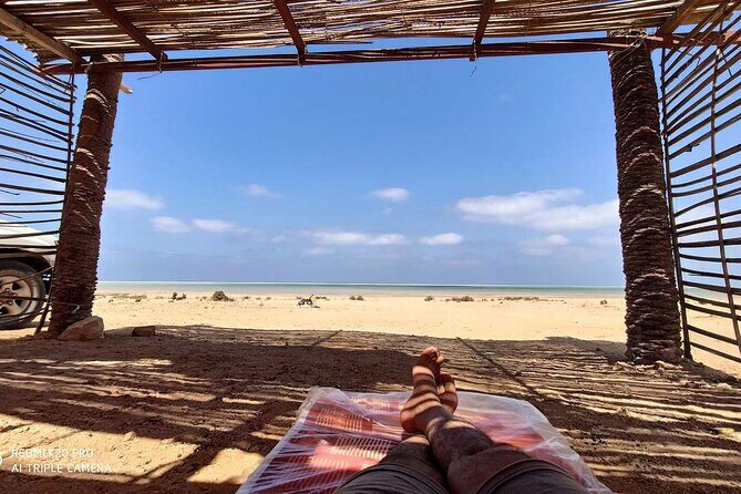 Explore Socotra Island |8 Days | PrivateTour(Oct 2024  May 2025) - Practical Aspects of the Tour