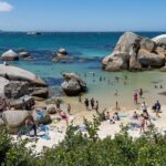 Explore the Cape Peninsula through a Queer Lens Private Tour - The Experience: What You’ll Actually Do and Feel