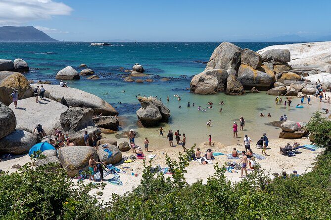 Explore the Cape Peninsula through a Queer Lens Private Tour - The Experience: What You’ll Actually Do and Feel