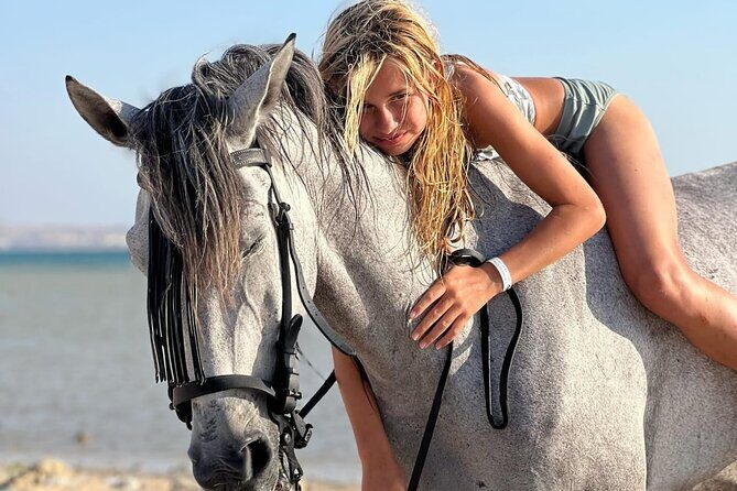 Explore The Desert &The Sea on a Horse Riding Cruise in Hurghada - Who Would Love This Tour?