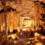 Explore the Garden Route from Cape Town - 4 Days - Authentic Experiences from Reviews