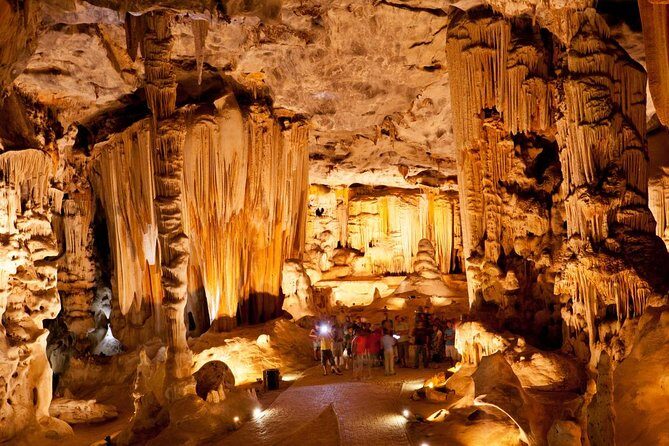Explore the Garden Route from Cape Town - 4 Days - Authentic Experiences from Reviews