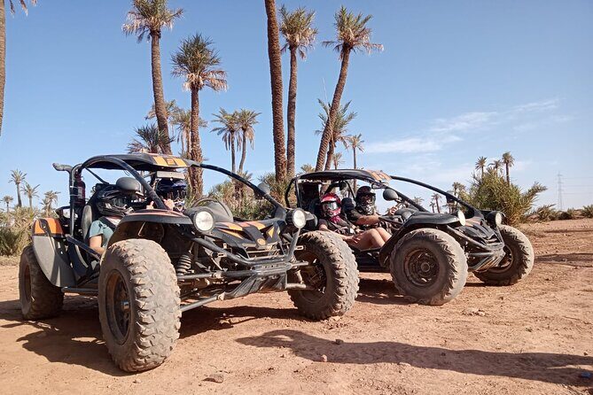 Explore the Marrakech Palm Desert in Buggy - Weighing the Pros and Cons