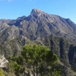 Explore the Nerja National Park nature in our open-top jeeps - Why This Tour Works for Travelers