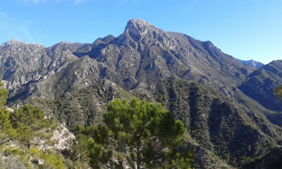 Explore the Nerja National Park nature in our open-top jeeps - Why This Tour Works for Travelers