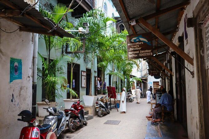 Explore The Stone Town in Zanzibar - What Travelers Are Saying