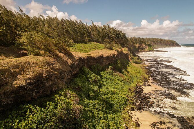 Explore The Wild South - Who Will Enjoy This Tour Most?