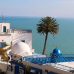 Explore Tunisia in Depth:The Private Grand Tour in 8 Days - Practical Insights: What Travelers Should Know