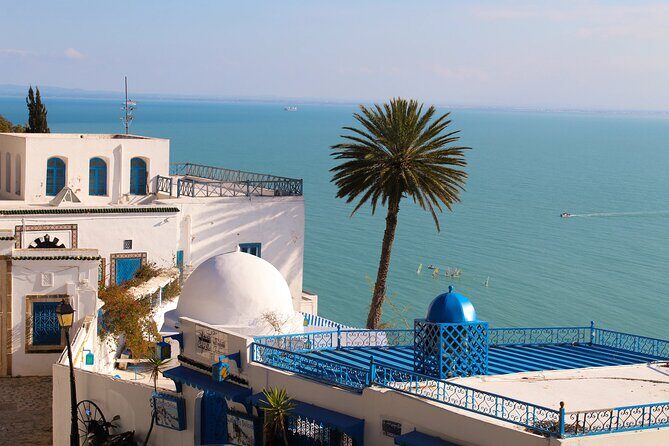 Explore Tunisia in Depth:The Private Grand Tour in 8 Days - Practical Insights: What Travelers Should Know