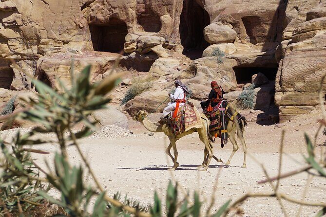 Explore Wadi Rum Desert with Camel Ride Experience with Stay - The Morning Light and Return Journey