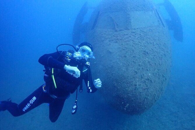 Explore World's Largest Plane Wreck by Scuba Diving in Kusadasi - Marine Life and Underwater Environment