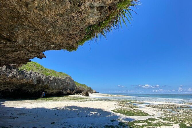 Explore Zanzibar's 6 Quintessential Southeastern Charm Full day - Authentic Experiences and the Guide’s Role