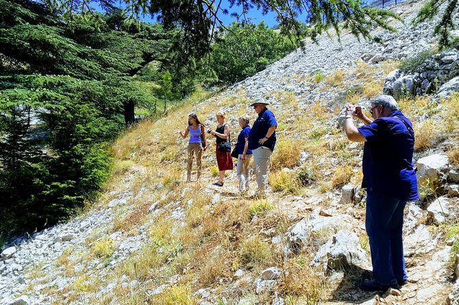 Exploring Lebanon's: Journey to Beit elDin, Deir ElQamar & Cedars - In-Depth Look at the Itinerary