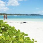 Exploring the Magnificent East of Mauritius: Full-day incl Blue Bay Marine Park - A Deep Dive into the Tour Experience