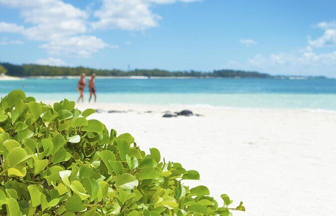 Exploring the Magnificent East of Mauritius: Full-day incl Blue Bay Marine Park - A Deep Dive into the Tour Experience