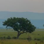 Exploring The Mighty Falls In Uganda - The Sum Up