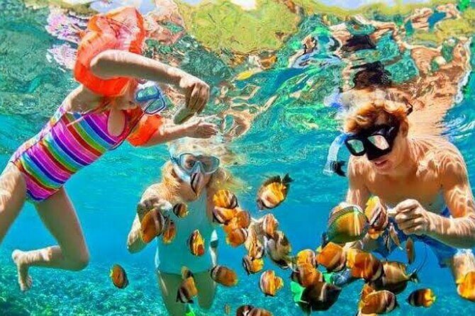 Extreme day trip 7×1 in Sharm el SHEIKH - Practical Tips for Future Participants