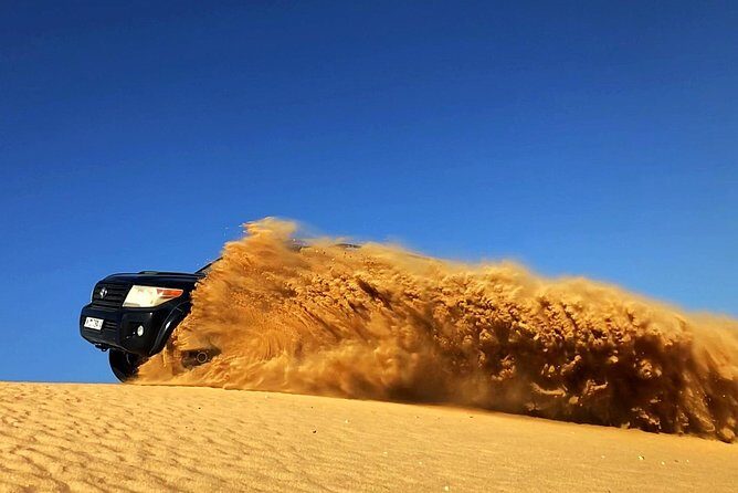 Extreme Desert Safari Evening with Dinner - What the Reviews Reveal
