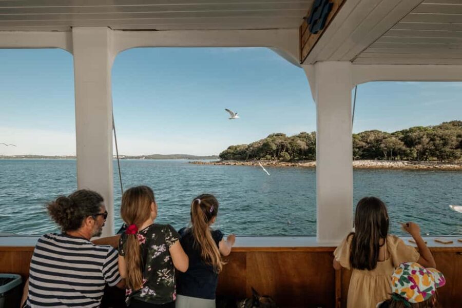 Faana: Glass Boat Tour of Brijuni National Park - Detailed Itinerary Breakdown