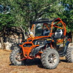 Faana: Guided Buggy Tour in the Heart of Istria - Practical Details and Value