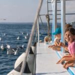 FAANA: PANORAMA NP BRIJUNI AND ISLAND SWIMMING STOP - Who Will Love This Tour?