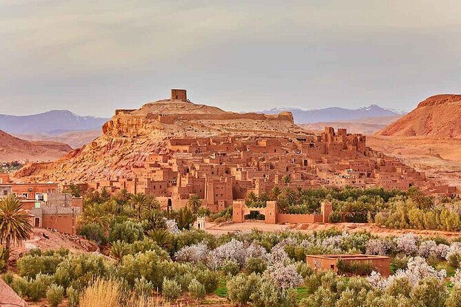 Fabulous 3 Day Desert Adventure to Merzouga with Small Group - What Reviewers Say