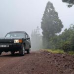 Faial: Private 4WD Half Day Island Tour with Local Guide - Why This Tour Offers Great Value
