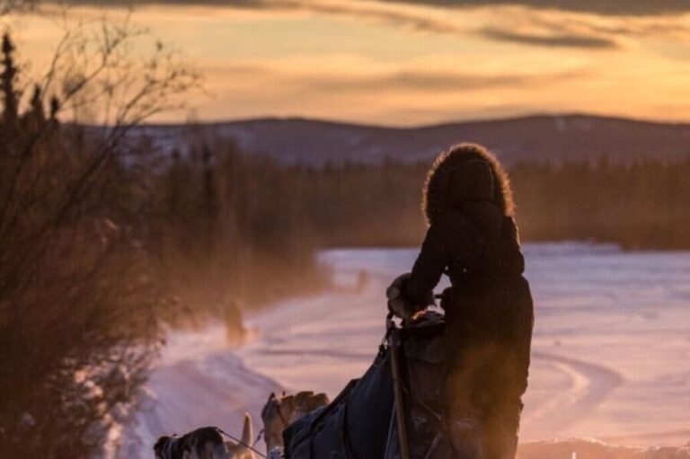 Fairbanks: Private Mush on the Historic Yukon Quest Trail - The Itinerary: What to Expect
