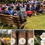 Fairview Estate Coffee Farm Tour With Pick up - Why This Tour Is Worth It