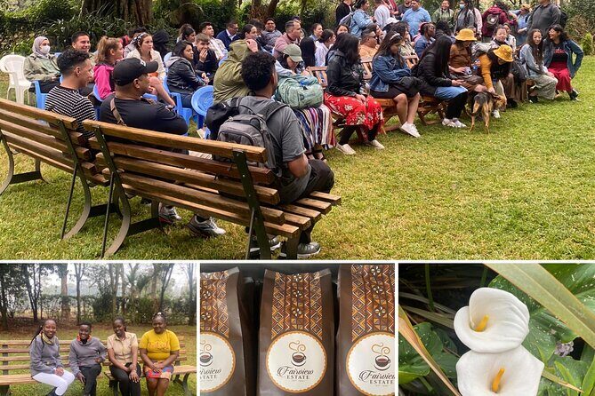 Fairview Estate Coffee Farm Tour With Pick up - Why This Tour Is Worth It