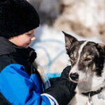 Family Snow Fun with Huskies, Reindeer, Mini Scooters, Lunch - Exploring the Arctic: What to Expect