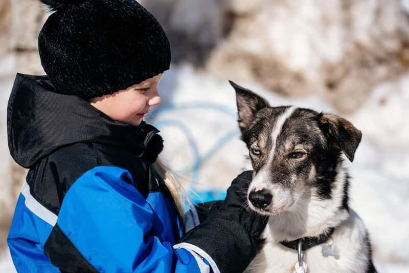 Family Snow Fun with Huskies, Reindeer, Mini Scooters, Lunch - Exploring the Arctic: What to Expect