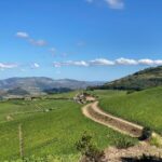 Fancy Douro from Porto - private walk + lunch + wines - The Value of This Tour