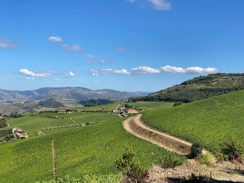 Fancy Douro from Porto - private walk + lunch + wines - The Value of This Tour